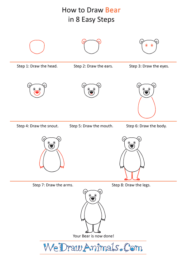 How to Draw a Cartoon Bear - Step-by-Step Tutorial