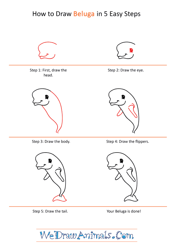 How to Draw a Cartoon Beluga - Step-by-Step Tutorial