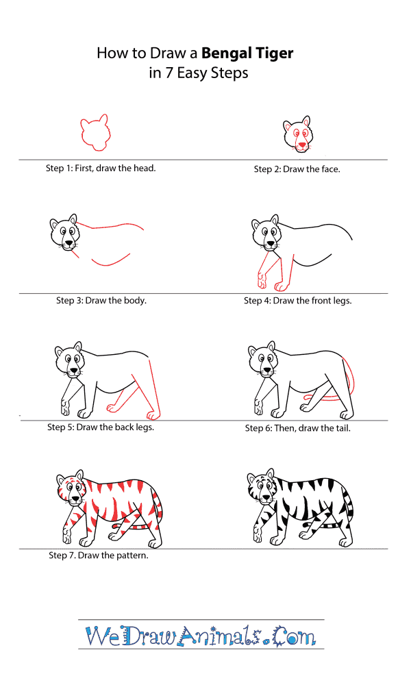 How to Draw a Cartoon Bengal Tiger - Step-by-Step Tutorial