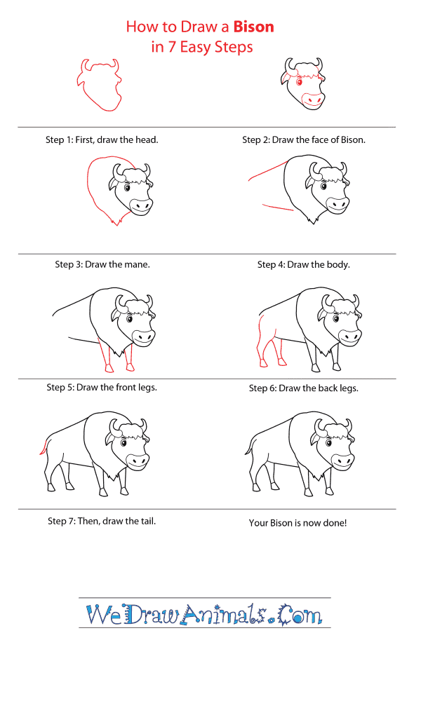 How to Draw a Cartoon Bison - Step-by-Step Tutorial