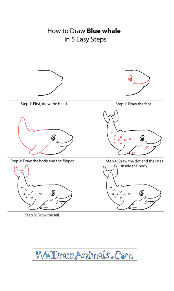 How to Draw a Cartoon Blue Whale - Step-by-Step Tutorial