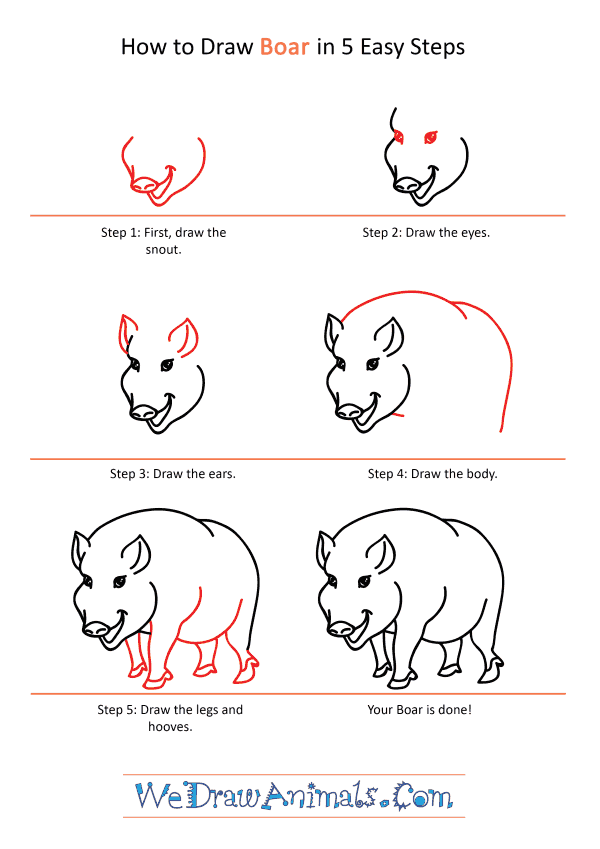 How to Draw a Cartoon Boar - Step-by-Step Tutorial