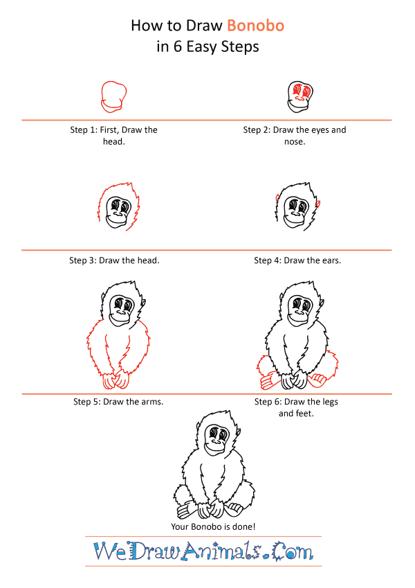 How to Draw a Cartoon Bonobo - Step-by-Step Tutorial