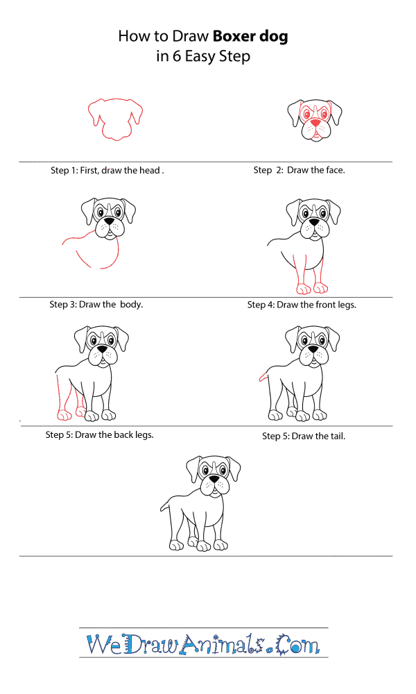 How to Draw a Cartoon Boxer Dog - Step-by-Step Tutorial
