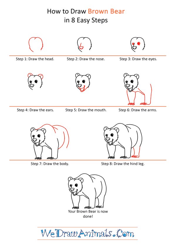 How to Draw a Cartoon Brown Bear - Step-by-Step Tutorial