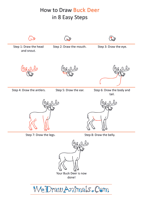How to Draw a Cartoon Buck Deer - Step-by-Step Tutorial