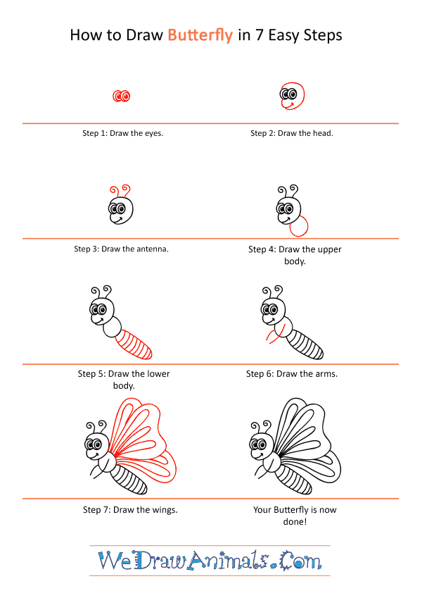 How to Draw a Cartoon Butterfly - Step-by-Step Tutorial