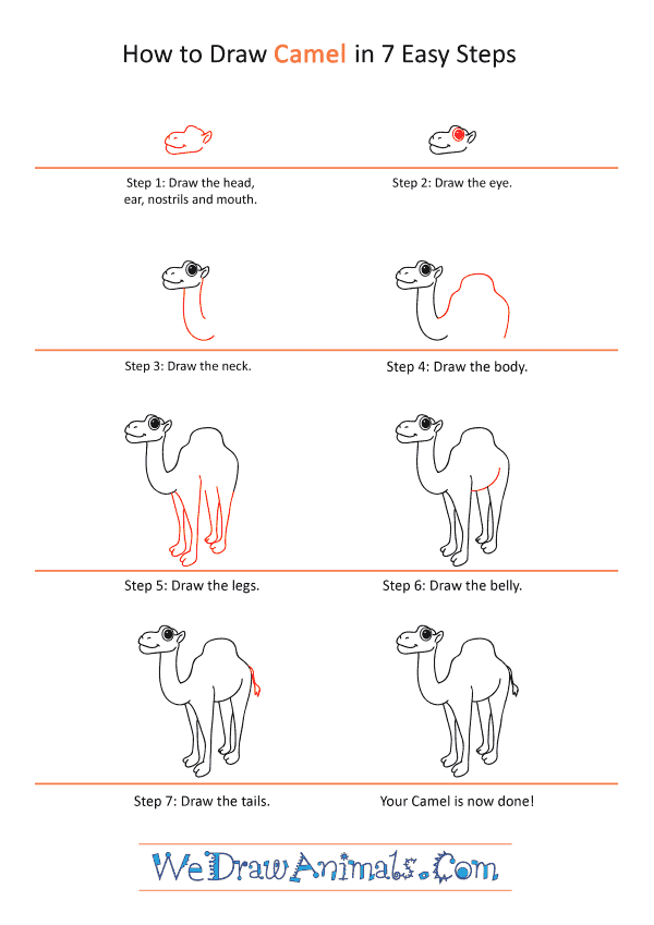 How to Draw a Cartoon Camel - Step-by-Step Tutorial