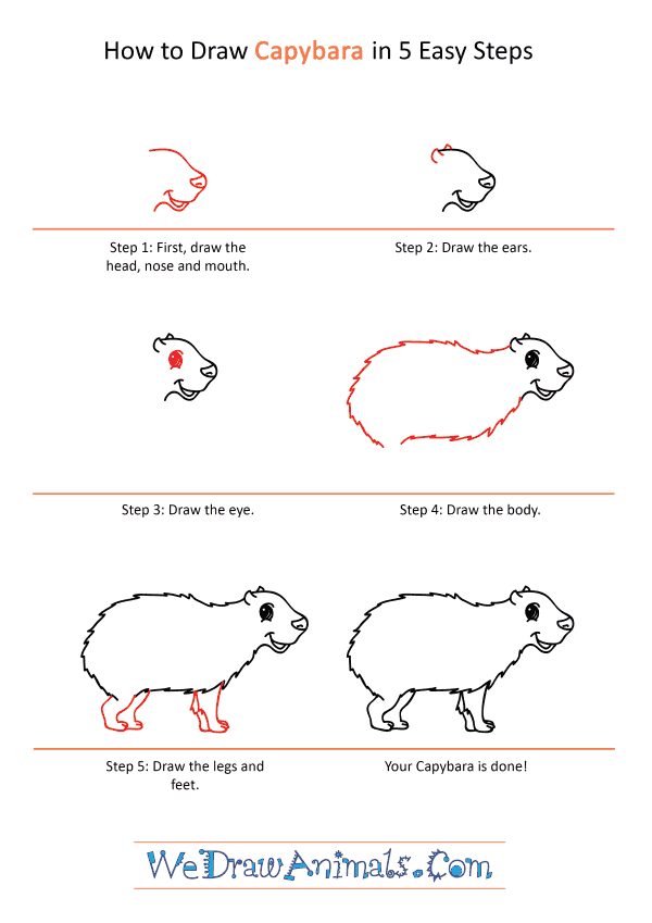 How to Draw a Cartoon Capybara - Step-by-Step Tutorial