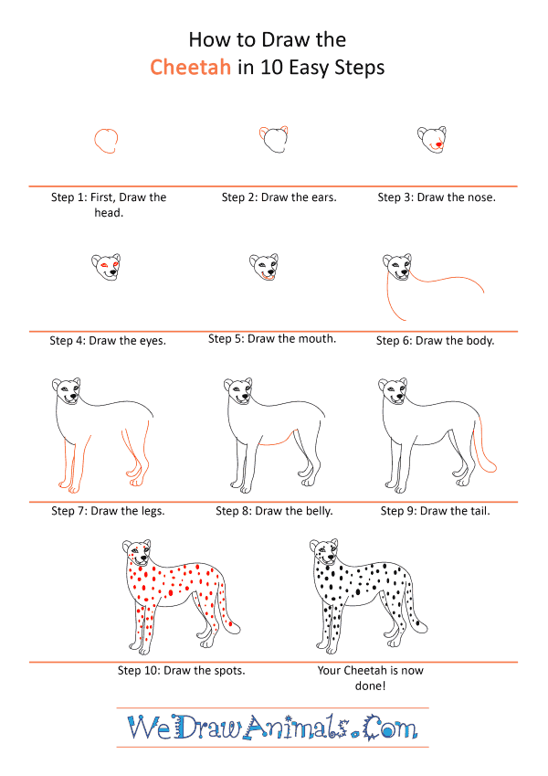 How to Draw a Cartoon Cheetah - Step-by-Step Tutorial