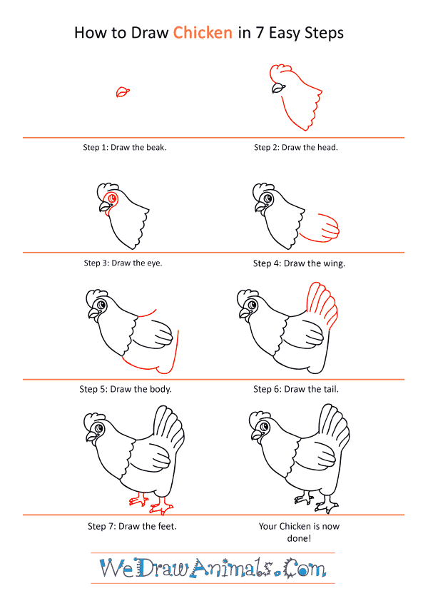 How to Draw a Cartoon Chicken