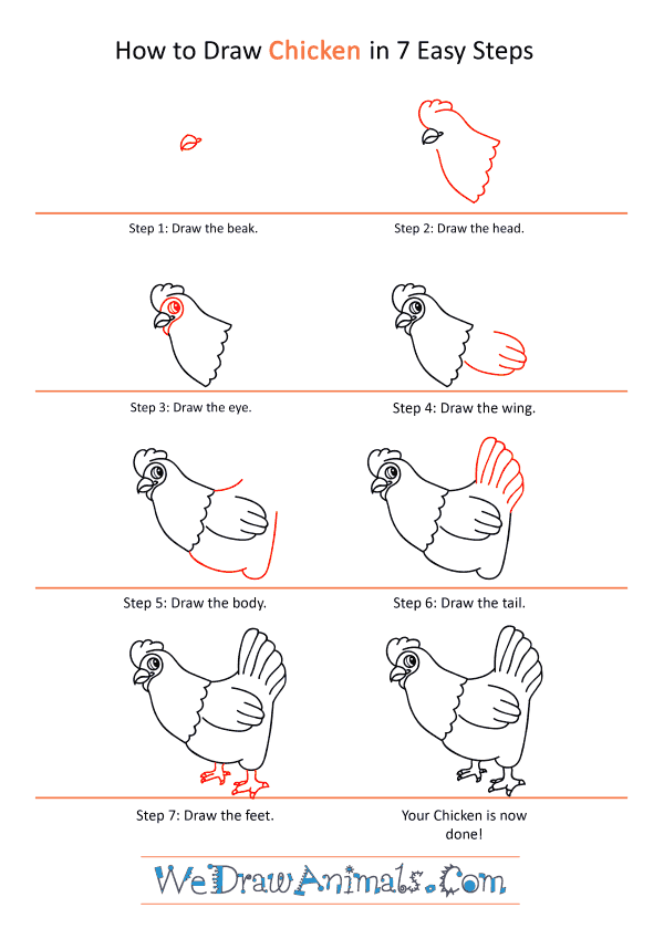 How to Draw a Cartoon Chicken - Step-by-Step Tutorial