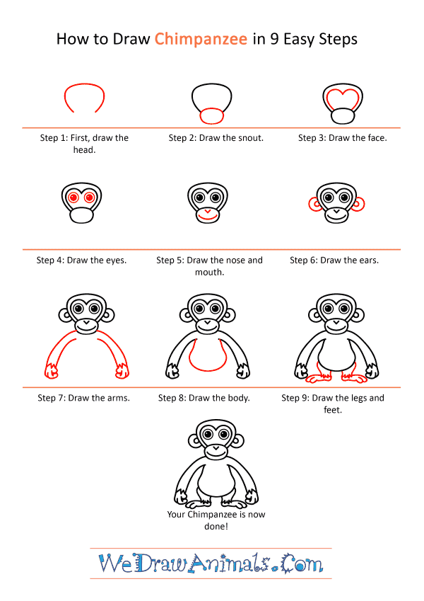 How to Draw a Cartoon Chimpanzee - Step-by-Step Tutorial