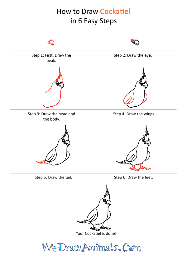 How to Draw a Cartoon Cockatiel - Step-by-Step Tutorial
