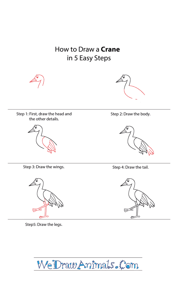 How to Draw a Cartoon Crane - Step-by-Step Tutorial