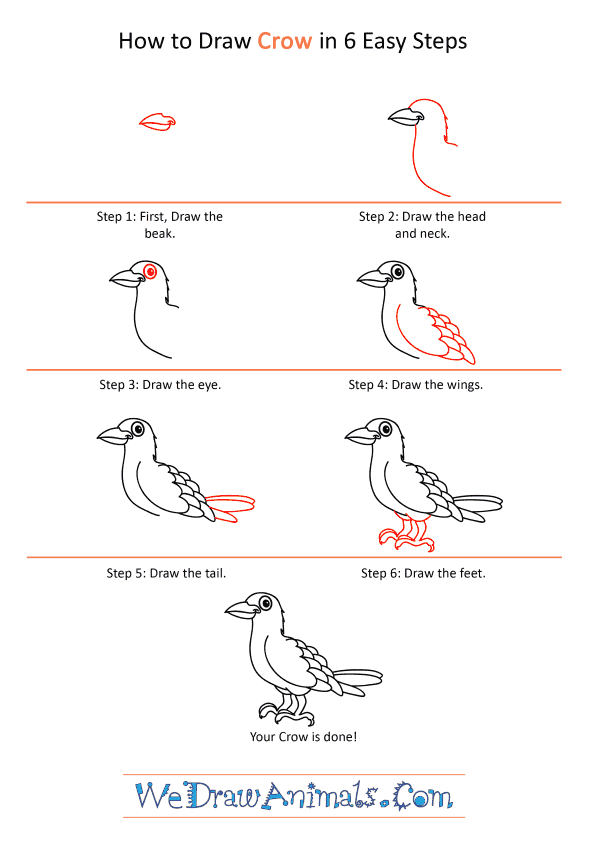 How to Draw a Cartoon Crow - Step-by-Step Tutorial