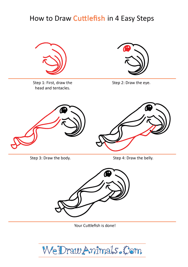 How to Draw a Cartoon Cuttlefish - Step-by-Step Tutorial