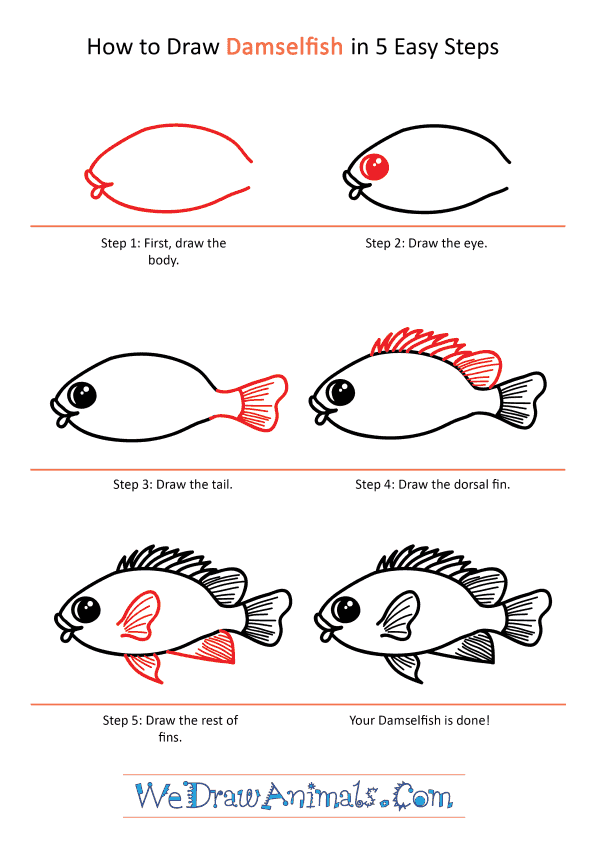 How to Draw a Cartoon Damselfish - Step-by-Step Tutorial