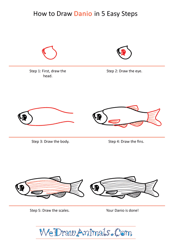 How to Draw a Cartoon Danio - Step-by-Step Tutorial