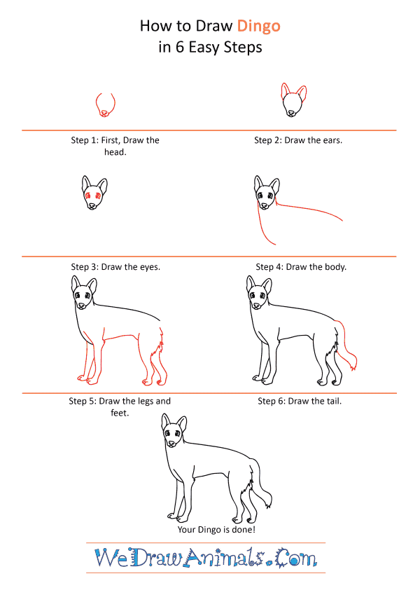 How to Draw a Cartoon Dingo - Step-by-Step Tutorial