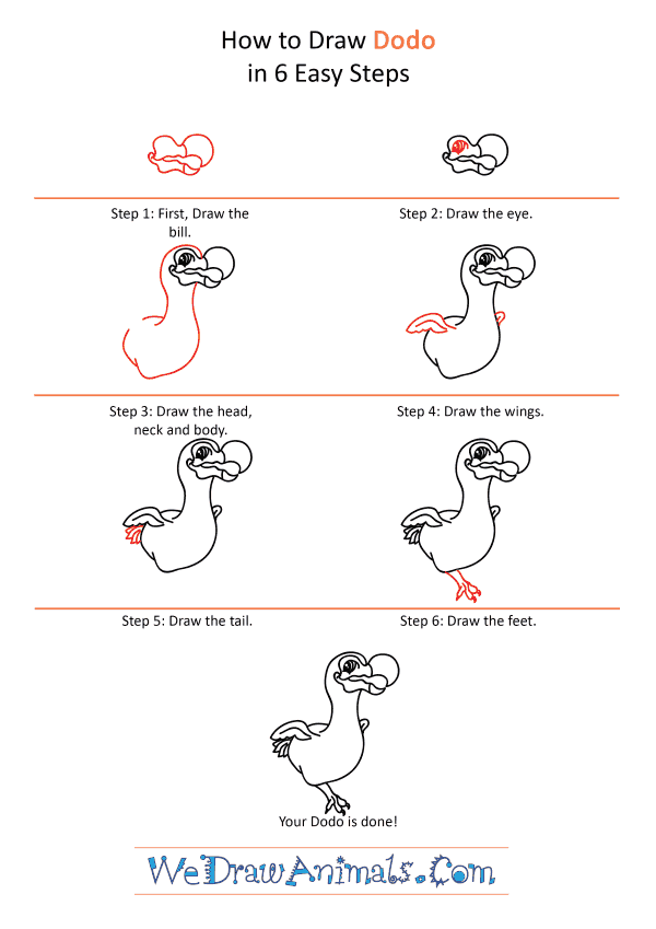 How to Draw a Cartoon Dodo - Step-by-Step Tutorial