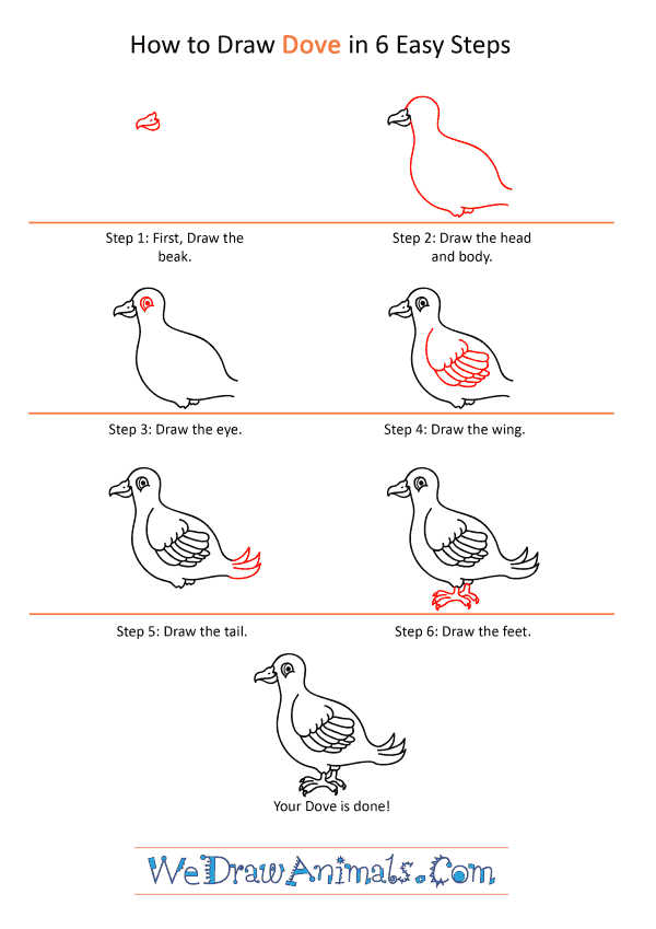 How to Draw a Cartoon Dove - Step-by-Step Tutorial