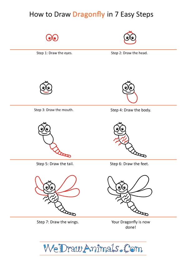 How to Draw a Cartoon Dragonfly - Step-by-Step Tutorial