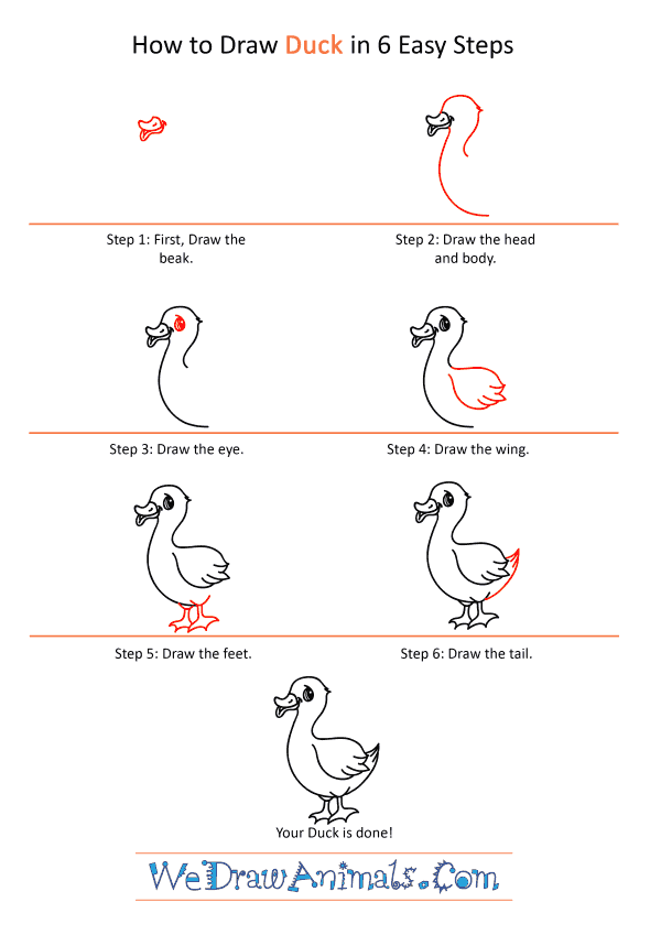 How to Draw a Cartoon Duck - Step-by-Step Tutorial