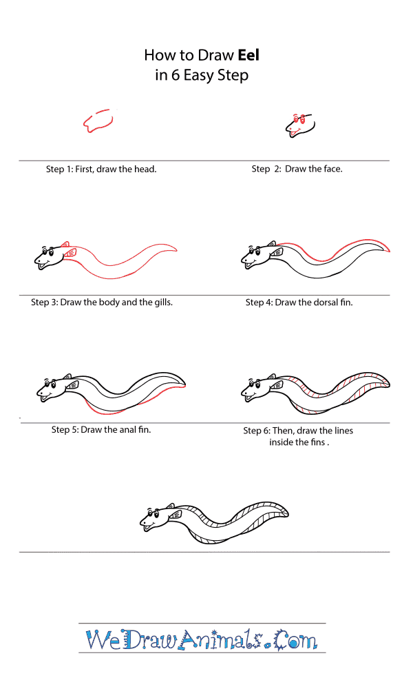 How to Draw a Cartoon Eel - Step-by-Step Tutorial