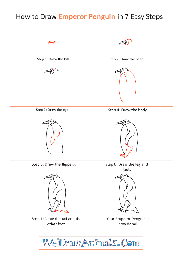 How to Draw a Cartoon Emperor Penguin - Step-by-Step Tutorial