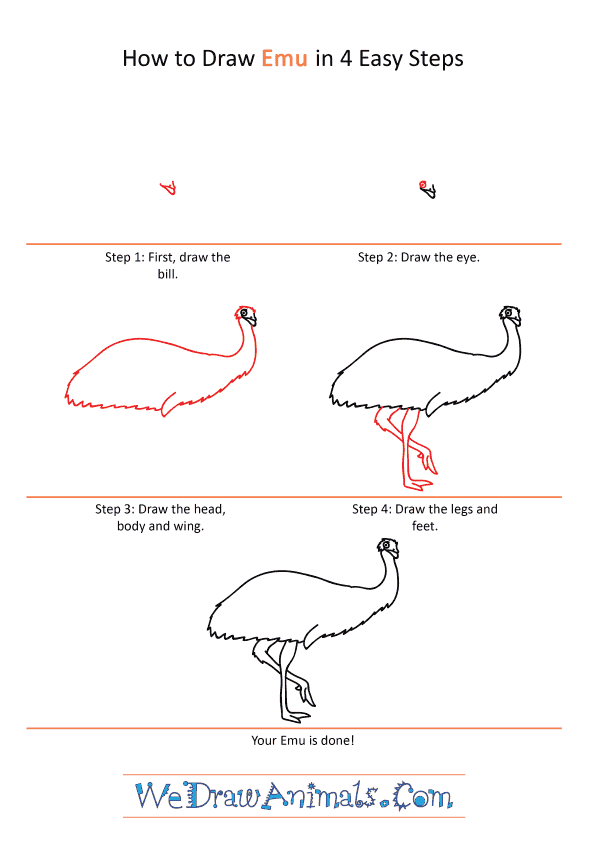 How to Draw a Cartoon Emu - Step-by-Step Tutorial