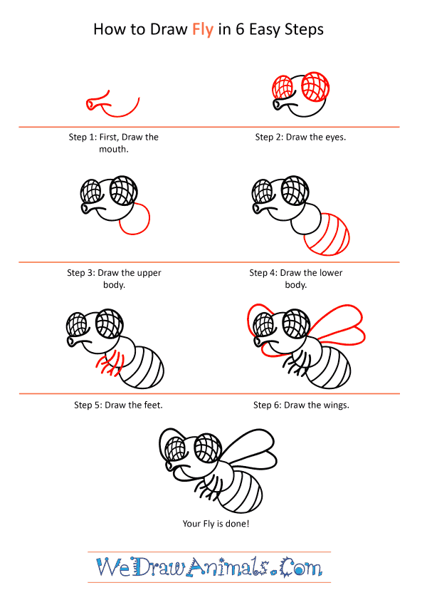 How to Draw a Cartoon Fly - Step-by-Step Tutorial