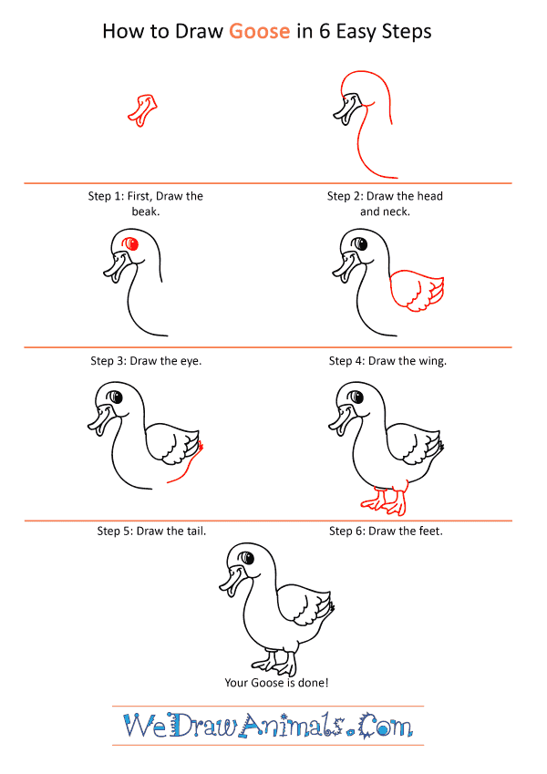 How to Draw a Cartoon Goose - Step-by-Step Tutorial