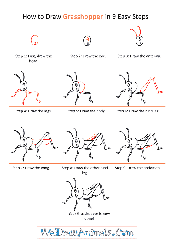 How to Draw a Cartoon Grasshopper - Step-by-Step Tutorial