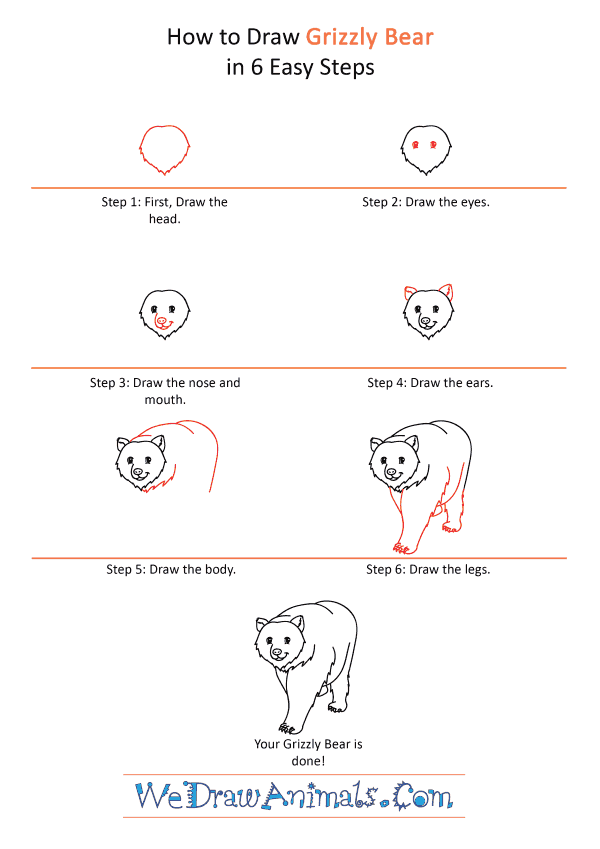 How to Draw a Cartoon Grizzly Bear - Step-by-Step Tutorial
