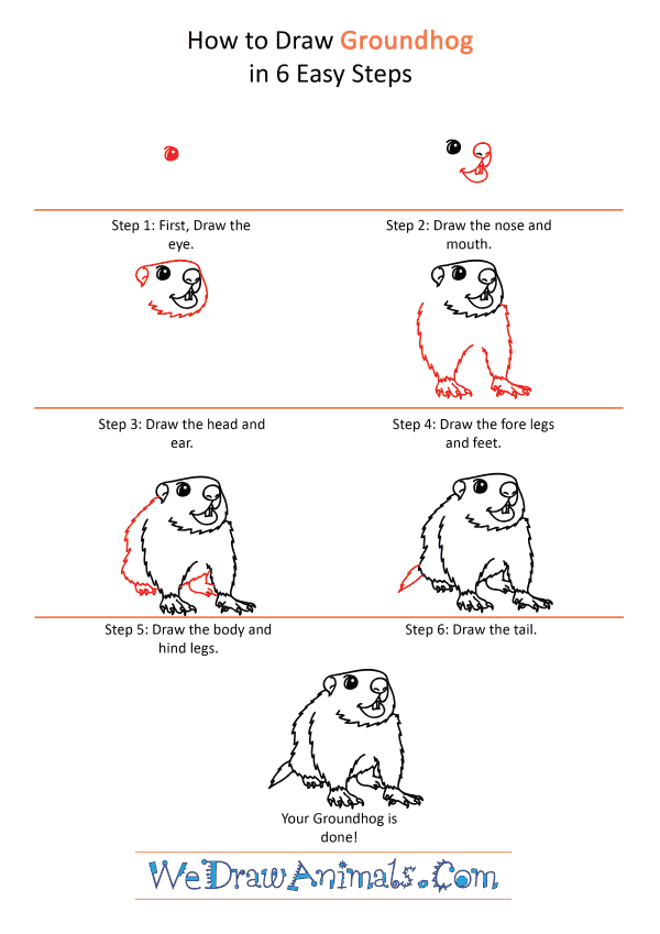 How to Draw a Cartoon Groundhog - Step-by-Step Tutorial