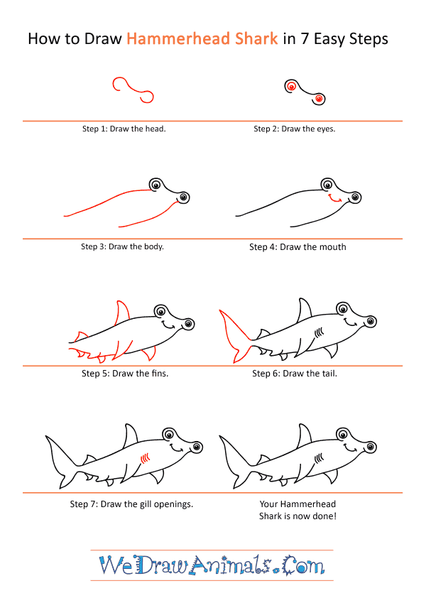 How to Draw a Cartoon Hammerhead Shark - Step-by-Step Tutorial