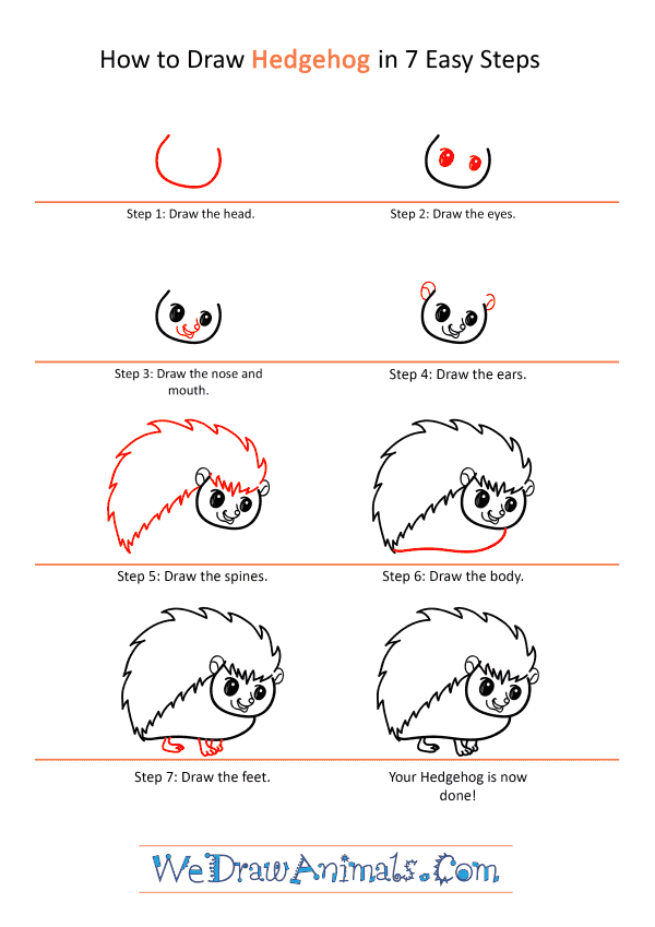 How to Draw a Cartoon Hedgehog - Step-by-Step Tutorial