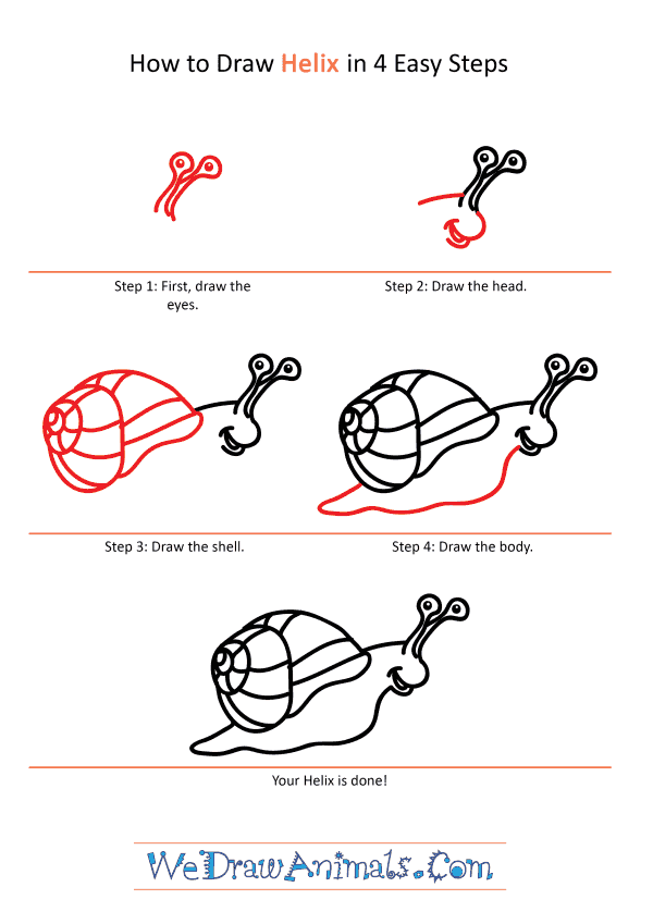 How to Draw a Cartoon Helix - Step-by-Step Tutorial