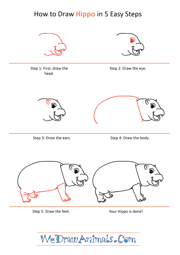 How to Draw a Cartoon Hippo - Step-by-Step Tutorial