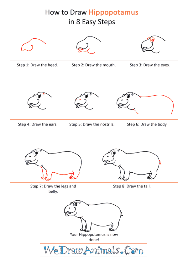 How to Draw a Cartoon Hippopotamus - Step-by-Step Tutorial