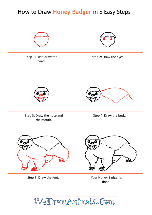 How to Draw a Cartoon Honey Badger - Step-by-Step Tutorial