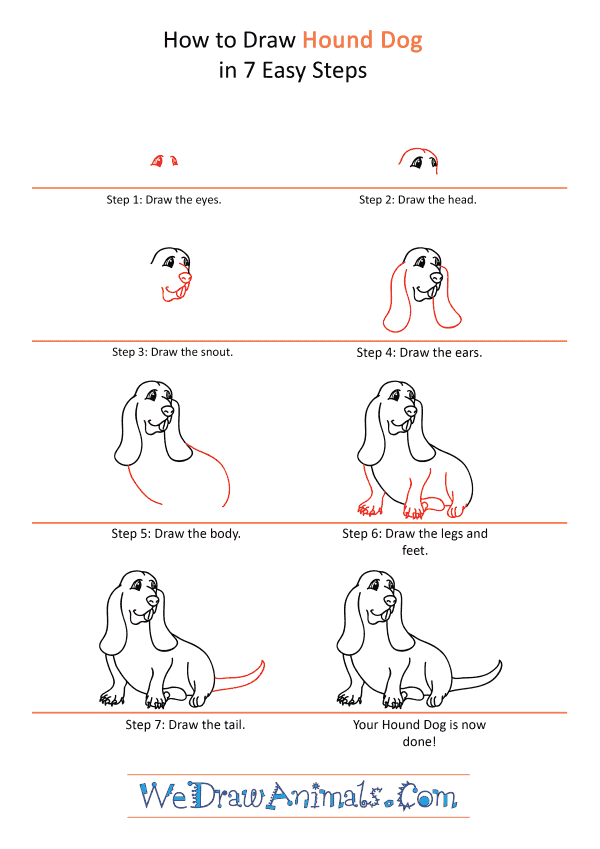 How to Draw a Cartoon Hound Dog - Step-by-Step Tutorial