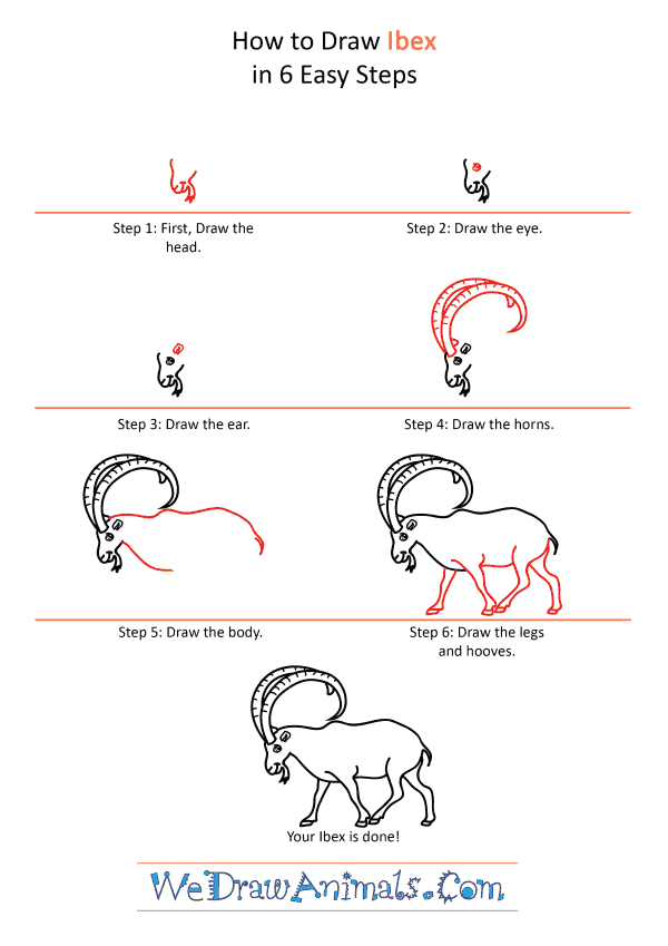 How to Draw a Cartoon Ibex - Step-by-Step Tutorial
