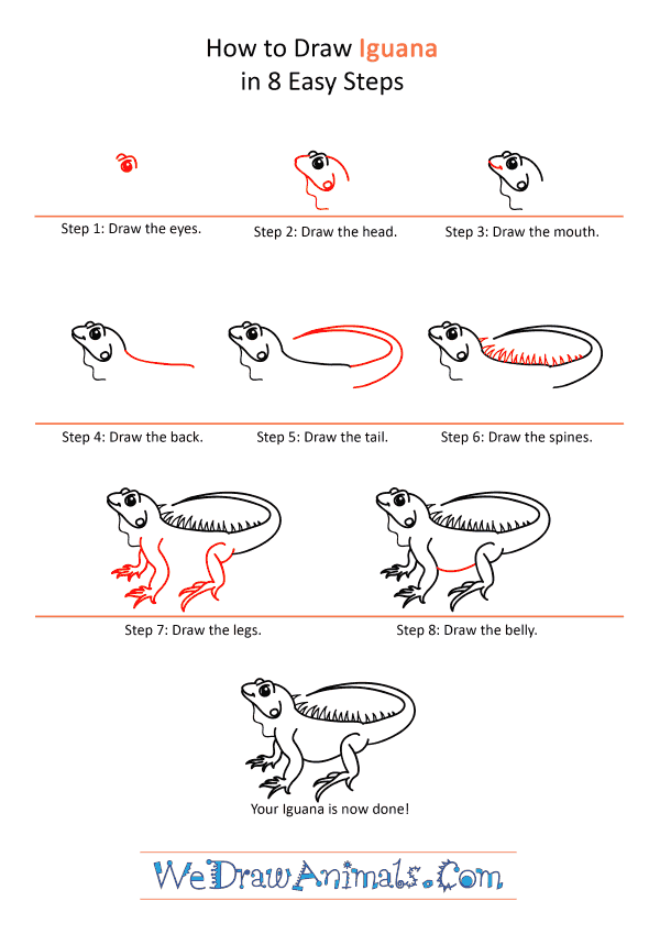 How to Draw a Cartoon Iguana - Step-by-Step Tutorial