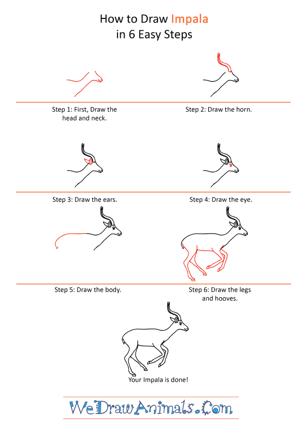 How to Draw a Cartoon Impala - Step-by-Step Tutorial