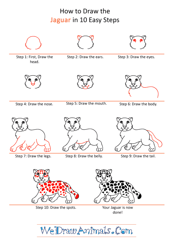 How to Draw a Cartoon Jaguar - Step-by-Step Tutorial
