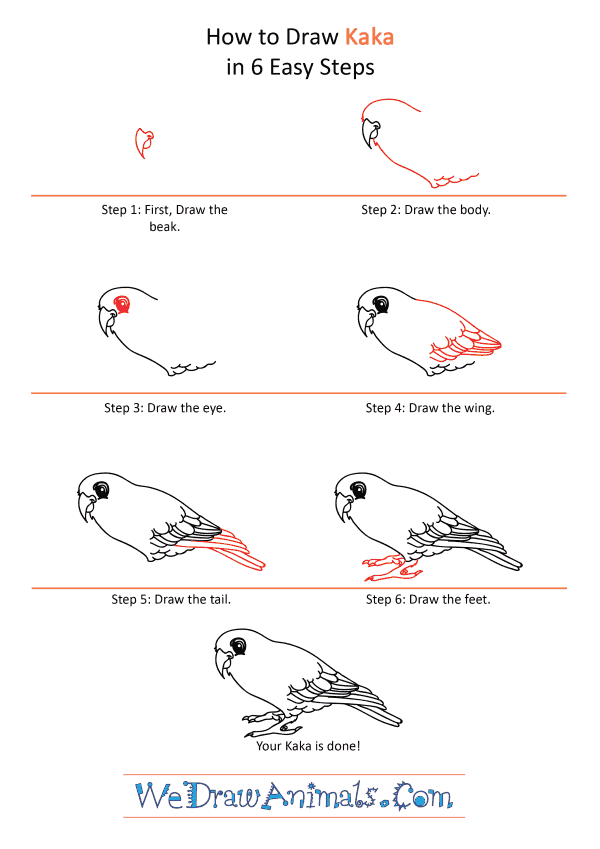 How to Draw a Cartoon Kaka - Step-by-Step Tutorial