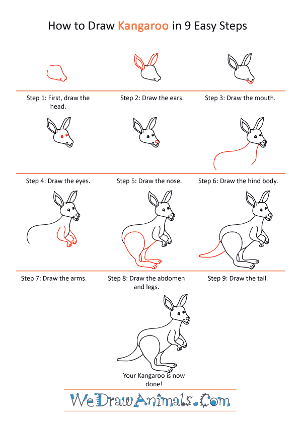 How to Draw a Cartoon Kangaroo - Step-by-Step Tutorial