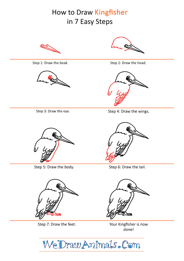 How to Draw a Cartoon Kingfisher - Step-by-Step Tutorial
